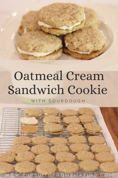 oatmeal cream sandwich cookies with sourdough on a plate and in the background