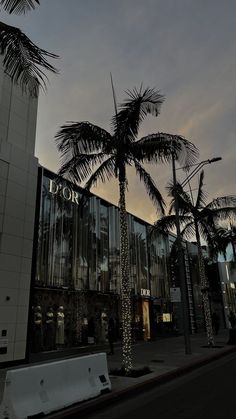 a palm tree in front of a building with lights on the side and people walking by