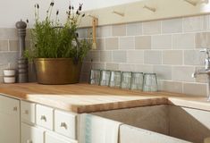 a kitchen sink with a wooden cutting board in front of it and a potted plant on the counter