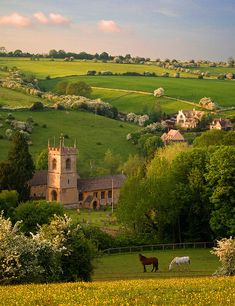 two horses are grazing in the field next to a church and farm house on a hill