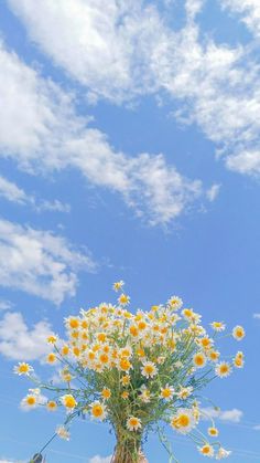 a vase filled with yellow and white flowers on top of a wooden table under a cloudy blue sky