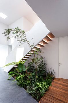 an indoor stair case with plants and trees on the bottom, next to a wooden floor