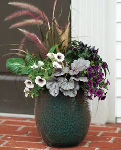 a potted plant with purple and white flowers sitting on a red brick floor next to a door