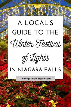 a sign that says a local's guide to the winter festival of lights in niagara falls