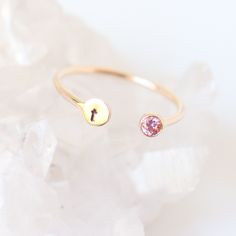 Personalize your 14k solid gold dual birthstone ring with a tiny initial and gemstone. We've created a solid yellow gold band combined with solid gold bezel. I hand stamp your letter atop a solid gold circle. This dainty, modern gold ring is sure to be a hit with new moms, bridesmaids, as a sweet personalized birthday gift or a little treat for yourself. Think of representing children, lovers, sisters, best friends. The options are endless and it's your choice with all twelve birthstones represe Modern Gold Ring, Dual Birthstone Ring, Sisters Best Friends, Birthstone Ring Mothers, Gemstone Stacking Ring, Mothers Ring, Horseshoe Ring, Mother Rings, Letter Ring