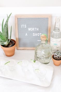 there is a bottle of alcohol next to some glasses and succulents on the table