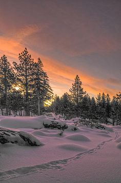 the sun is setting over some snow covered trees