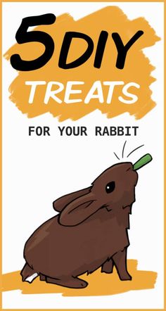 a brown rabbit with the words 5 diy treats for your rabbit on it's back