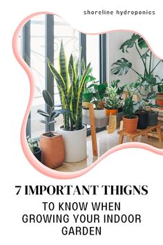 indoor plants with text that reads, 7 important things to know when growing your indoor garden