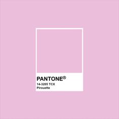 pantone's pink hue is shown in the background, and it appears to be from