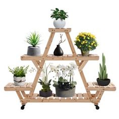 a wooden shelf filled with potted plants on top of each other