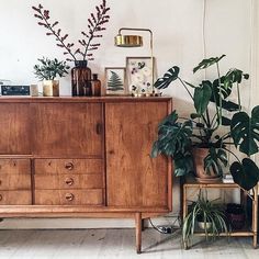 a wooden cabinet sitting next to two potted plants