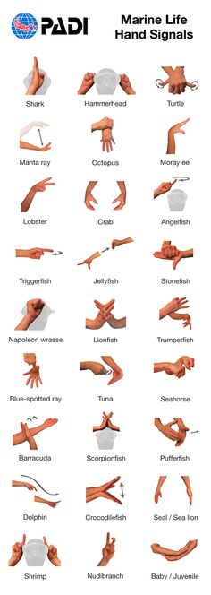 the hands are shown with different types of fingers and their corresponding parts to each other