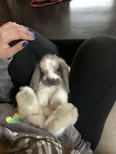 a woman sitting on the floor holding a rabbit