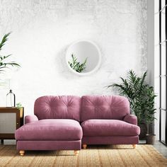 a living room with a pink couch and potted plants on the wall, next to a round mirror