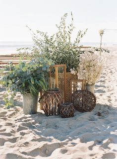 some plants and vases are on the sand