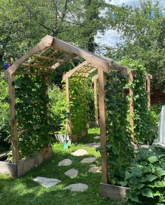 an outdoor garden with lots of plants growing on the ground and a wooden pergoline