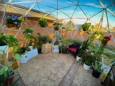 the inside of a greenhouse with potted plants