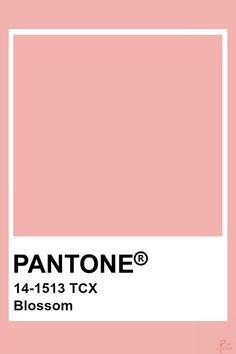 the pantone color is shown in pink and white, with an empty square at the bottom