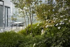 a table and chairs in the middle of a garden area next to a building with glass doors