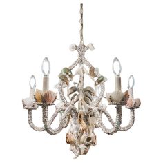 a chandelier with seashells hanging from it's arms and lights