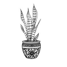 a potted plant that is sitting on a white surface with black and white designs