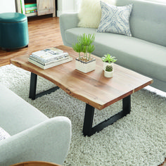 a living room with two couches and a coffee table in the middle of it