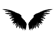 an image of black wings on a white background