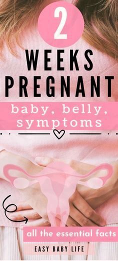 a pregnant woman with her hands on her belly and the words 2 weeks pregnant, baby,