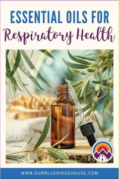 The top essential oils for respiratory health. How to use essential oils for natural health, the risks of oils when... Mole Removal At Home, Drinking Olive Oil, Top Essential Oils, Diluting Essential Oils, What Are Essential Oils, Womens Health Care, Lungs Health, Aromatic Plant, Using Essential Oils