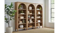 a wooden bookcase filled with books next to a potted plant