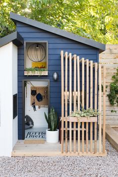 a small blue shed with an open door and shelves on the outside, next to a potted plant