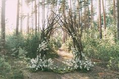 an arch made out of branches and flowers in the middle of a forest with white flowers