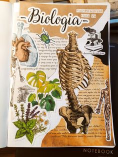 an open book with pictures of the human body and other medical items on top of it