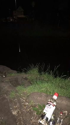 an empty bottle sitting on the ground next to some rocks and grass at night time