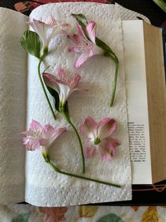 some pink flowers are on top of a white towel and an open book in the background