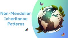 an image of the earth with leaves and butterflies around it that says non - mendelian interface patterns