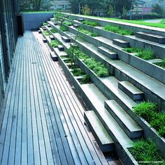 an outdoor seating area with wooden steps and plants growing on the side of each seat