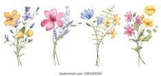 watercolor flowers painted in different colors and sizes on white background, set of four