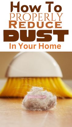 a close up of a dust pan with the words how to properly reduce dust in your home