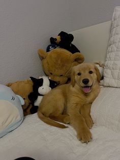 a brown dog laying on top of a white bed next to stuffed animals and a teddy bear