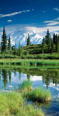 a lake surrounded by grass and trees with a mountain in the background