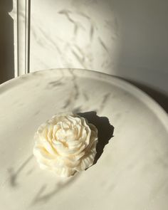 a white flower sitting on top of a table