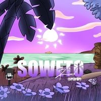 an image of some plants and flowers in the background with words soweto on it