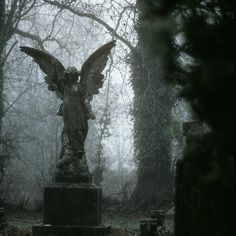 an angel statue sitting in the middle of a cemetery surrounded by trees and bushes on a foggy day