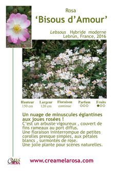 a poster with flowers in french and english on the front page, which reads'bios d'amour '