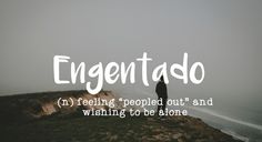 a person standing on top of a hill with the words engentadoro in white