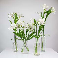 Choose Your Color Alstroemeria with Bud Vases Elegant Table Centerpieces, Peruvian Lilies, Flower Care, Event Themes, Water Flowers, Bunch Of Flowers, Bud Vase, Elegant Table, Bud Vases