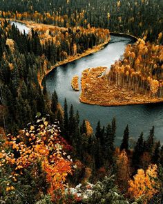 an aerial view of a river surrounded by trees in the fall with yellow and orange foliage