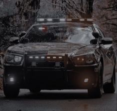 a police car is parked on the side of the road in front of some trees